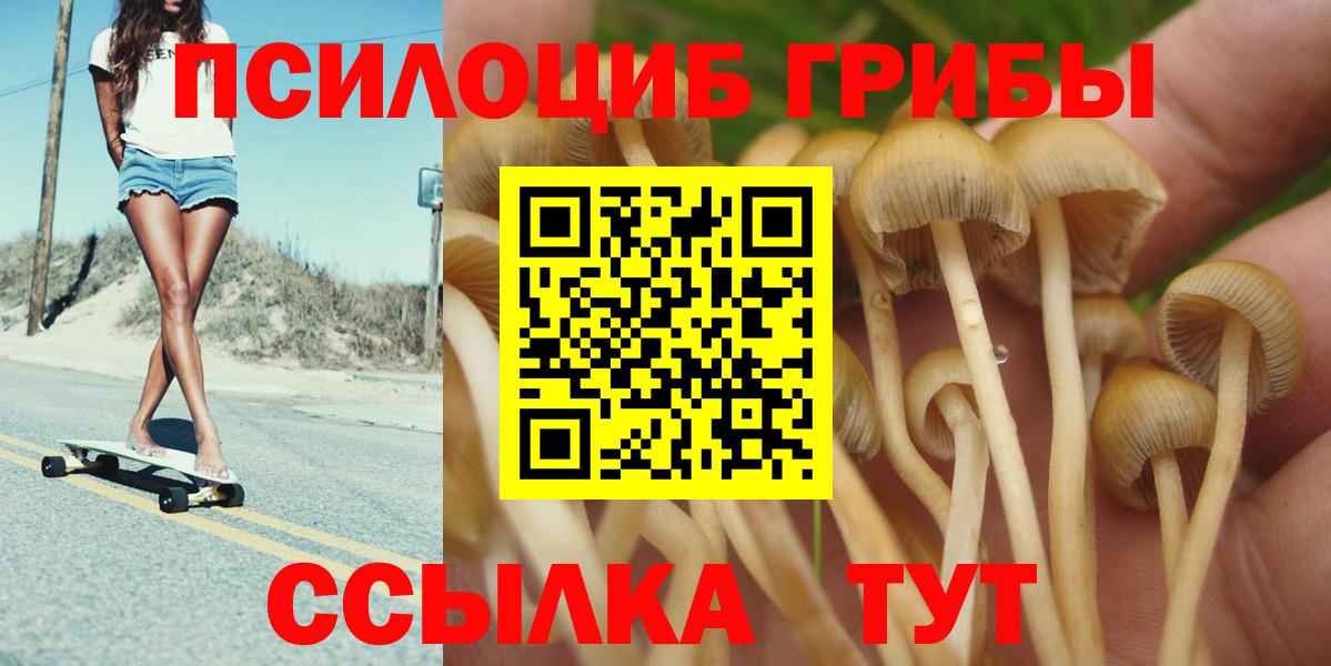Псилоцибиновые грибы Psilocybine cubensis  Артёмовский  Псилоцибиновые грибы MAGIC MUSHROOMS 