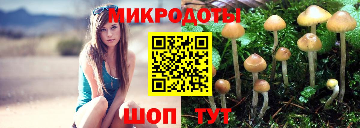 Псилоцибиновые грибы прущие грибы  Псилоцибиновые грибы Cubensis  Вход с VPN  Артёмовский 